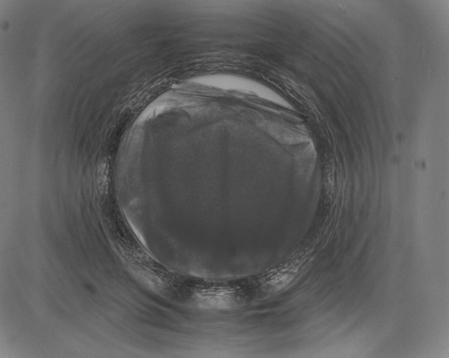 X0000081610551200702121617