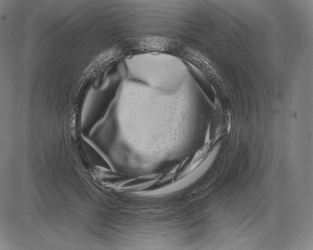 X0000081610552200702121617