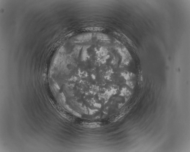 X0000081610553200702121617