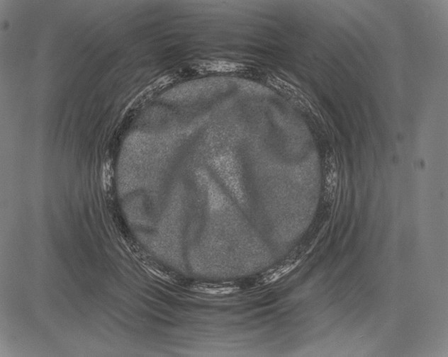 X0000081610555200702121617