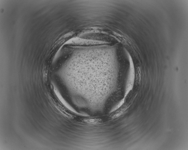 X0000081610558200702121617