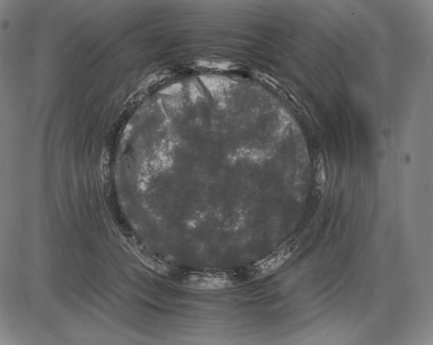 X0000081610559200702121617