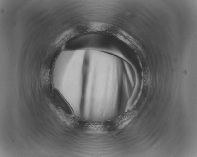 X0000081610560200702121617