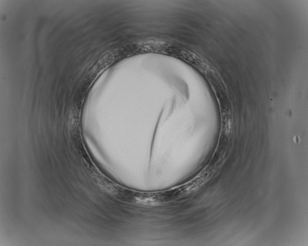 X0000081610561200702121617