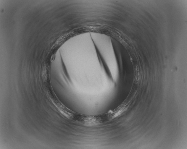 X0000081610562200702121617