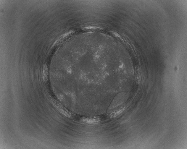 X0000081610563200702121617