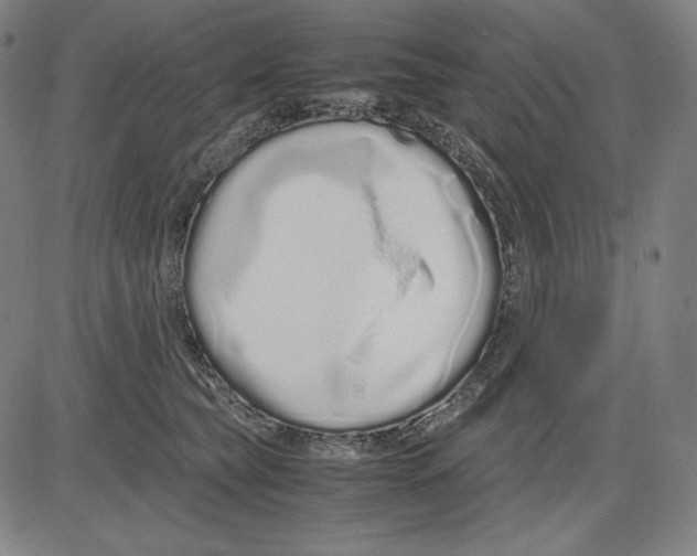 X0000081610565200702121617