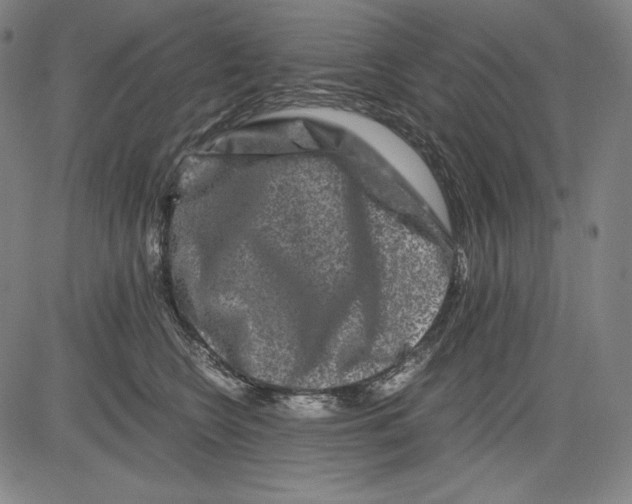 X0000081610566200702121617