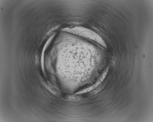 X0000081610568200702121617