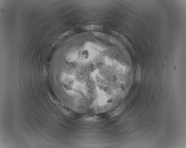 X0000081610569200702121617