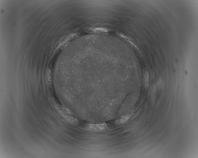 X0000081610571200702121618