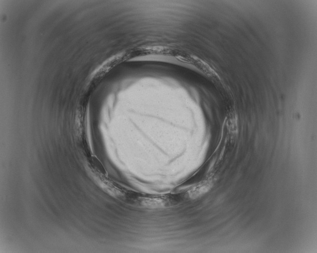 X0000081610572200702121618