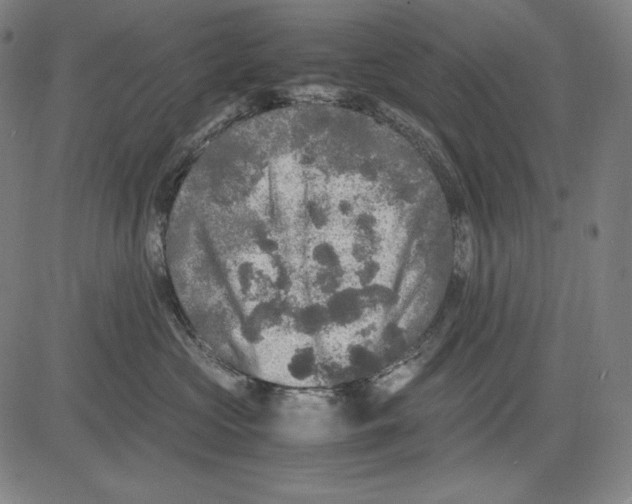 X0000081610573200702121618