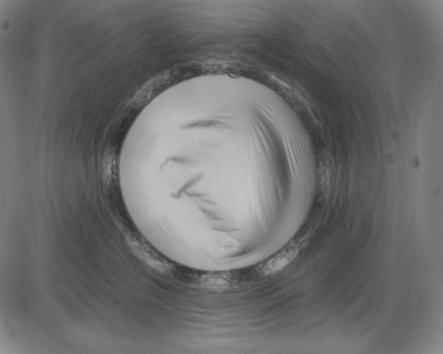 X0000081610574200702121618