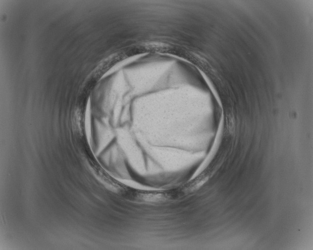 X0000081610575200702121618