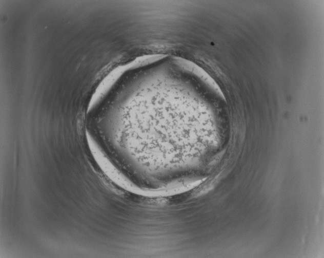 X0000081610576200702121618