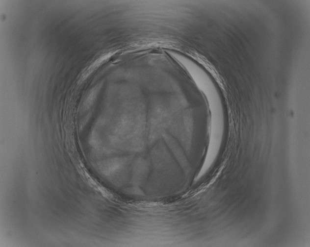 X0000081610577200702121617