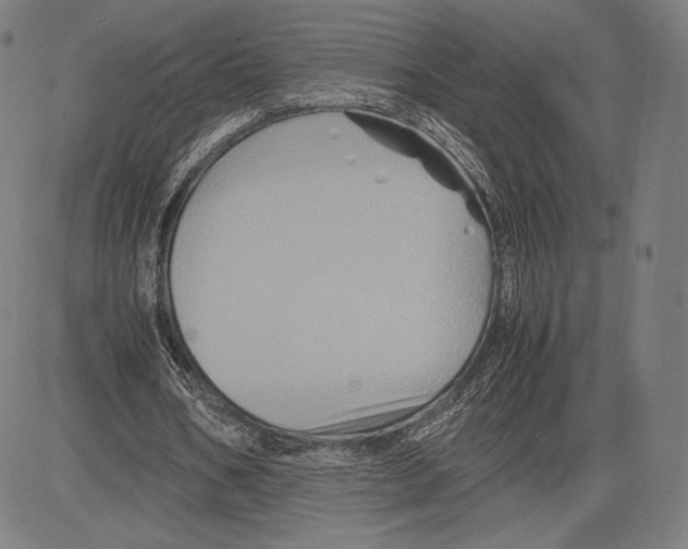 X0000081610578200702121617