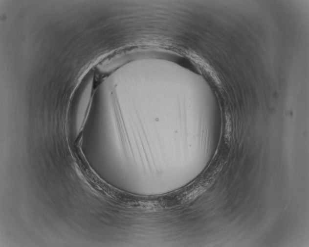 X0000081610580200702121617