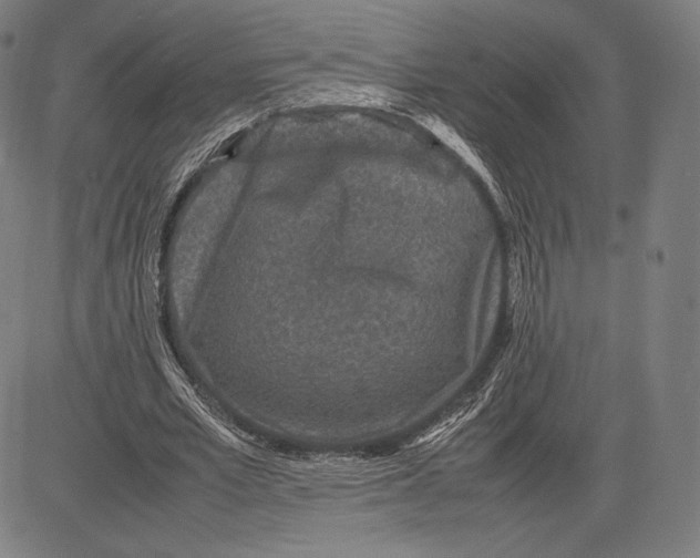 X0000081610581200702121617