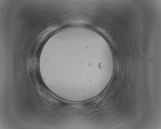 X0000081610583200702121617