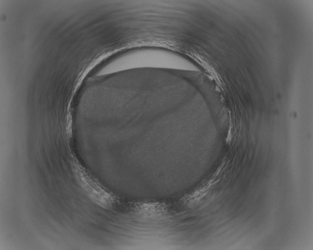 X0000081610584200702121617