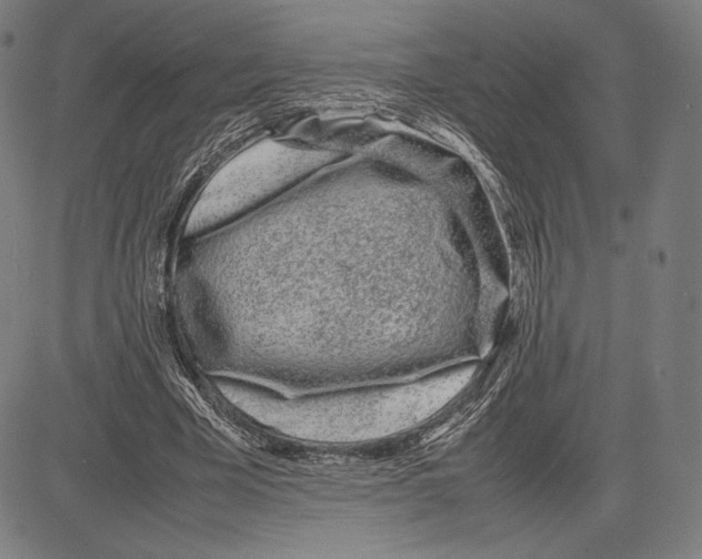 X0000081610585200702121617