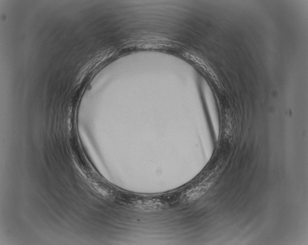 X0000081610586200702121617