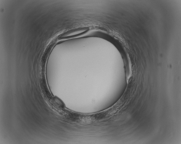 X0000081610587200702121617