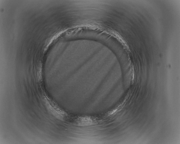 X0000081610588200702121617