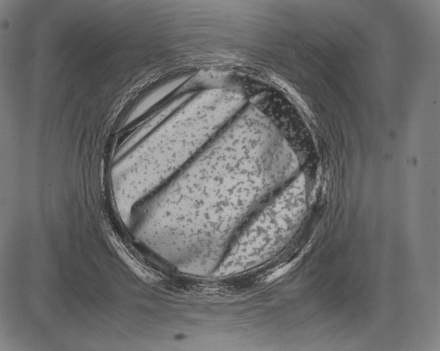 X0000081610589200702121617