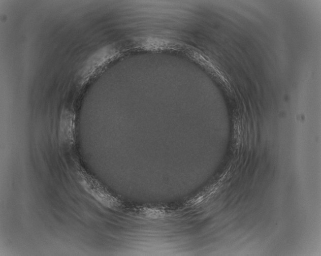 X0000081610592200702121617