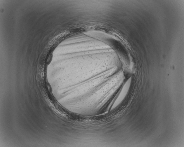 X0000081610593200702121617