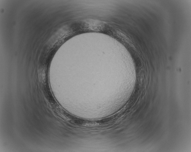 X0000081610595200702121617