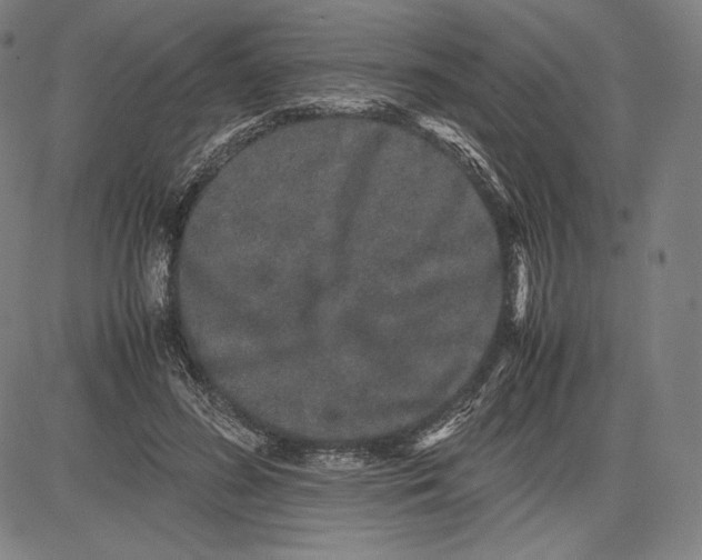 X0000081610596200702121617