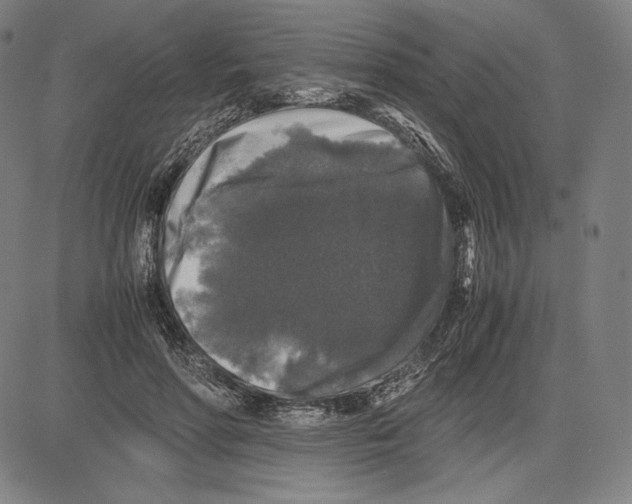 X0000081610598200702121616