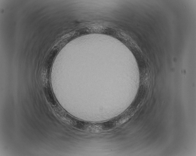 X0000081610599200702121616