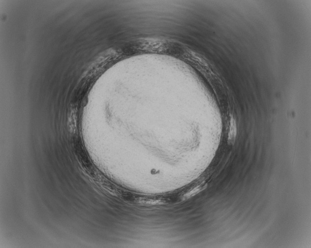 X0000081610602200702121616