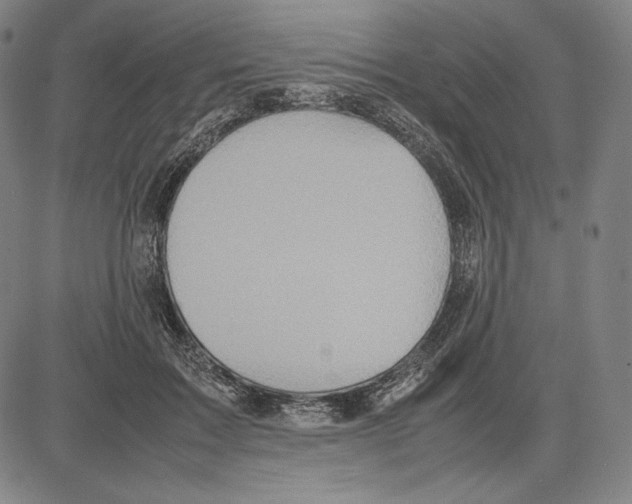 X0000081610603200702121616