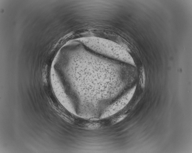 X0000081610604200702121616