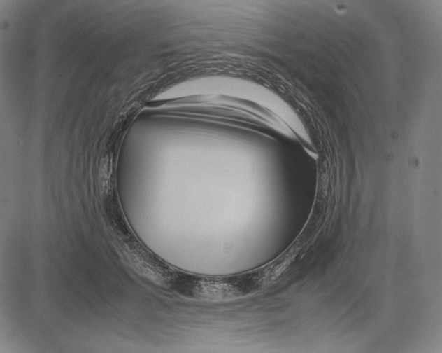 X0000081610605200702121616