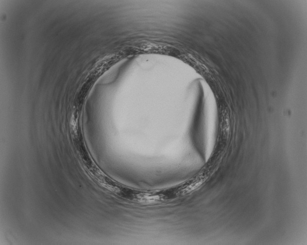 X0000081610607200702121616