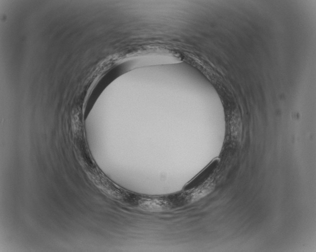 X0000081610611200702121616