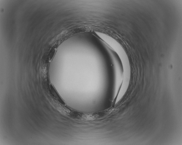 X0000081610613200702121616