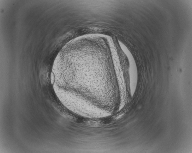 X0000081610615200702121616