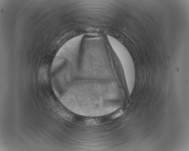 X0000081610616200702121616