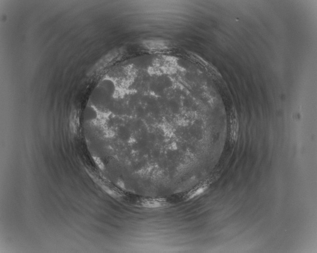 X0000081610618200702121616