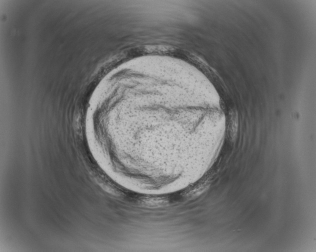 X0000081610619200702121616