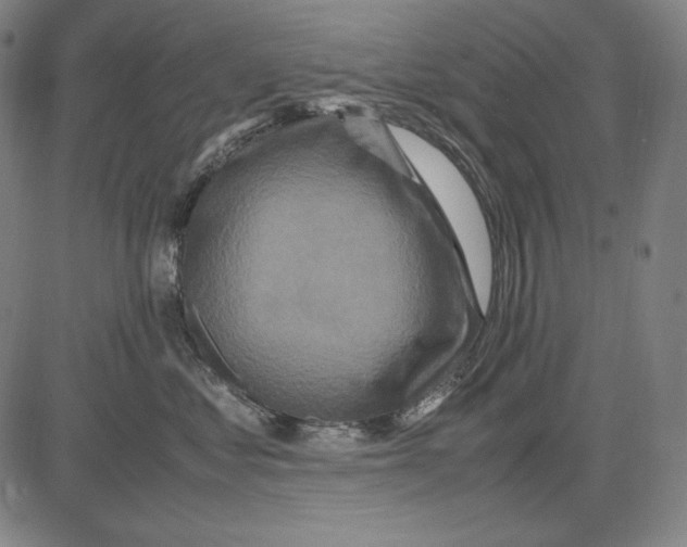 X0000081610621200702121616