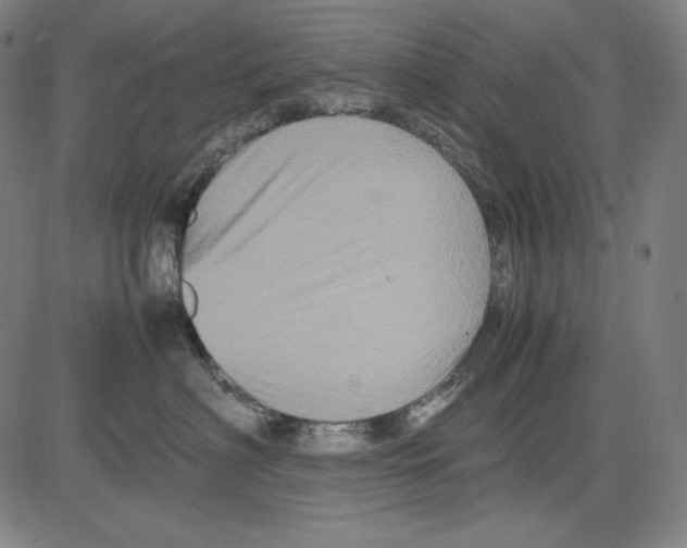 X0000081610622200702121616